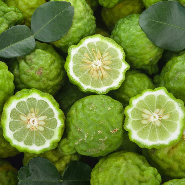 Bergamot