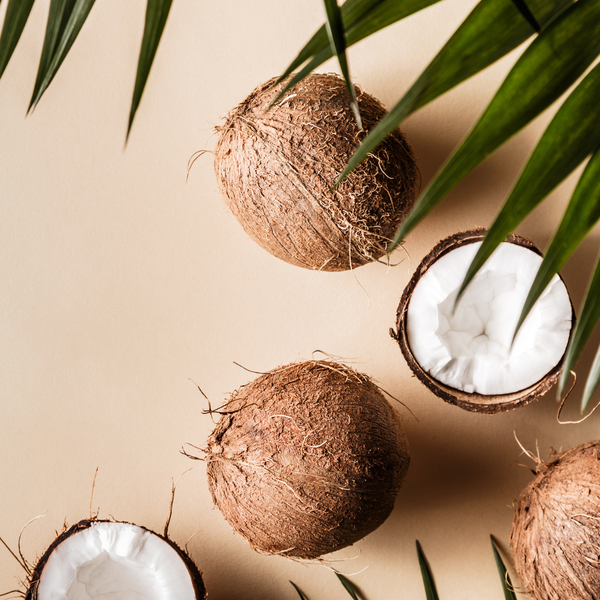 Coconut