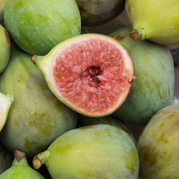 Green Fig