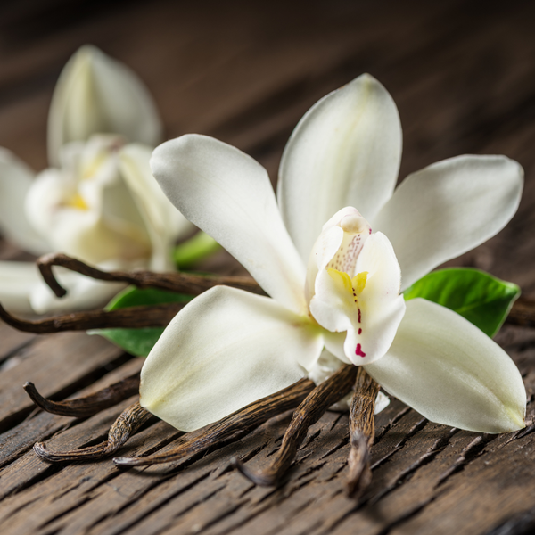 Vanilla
